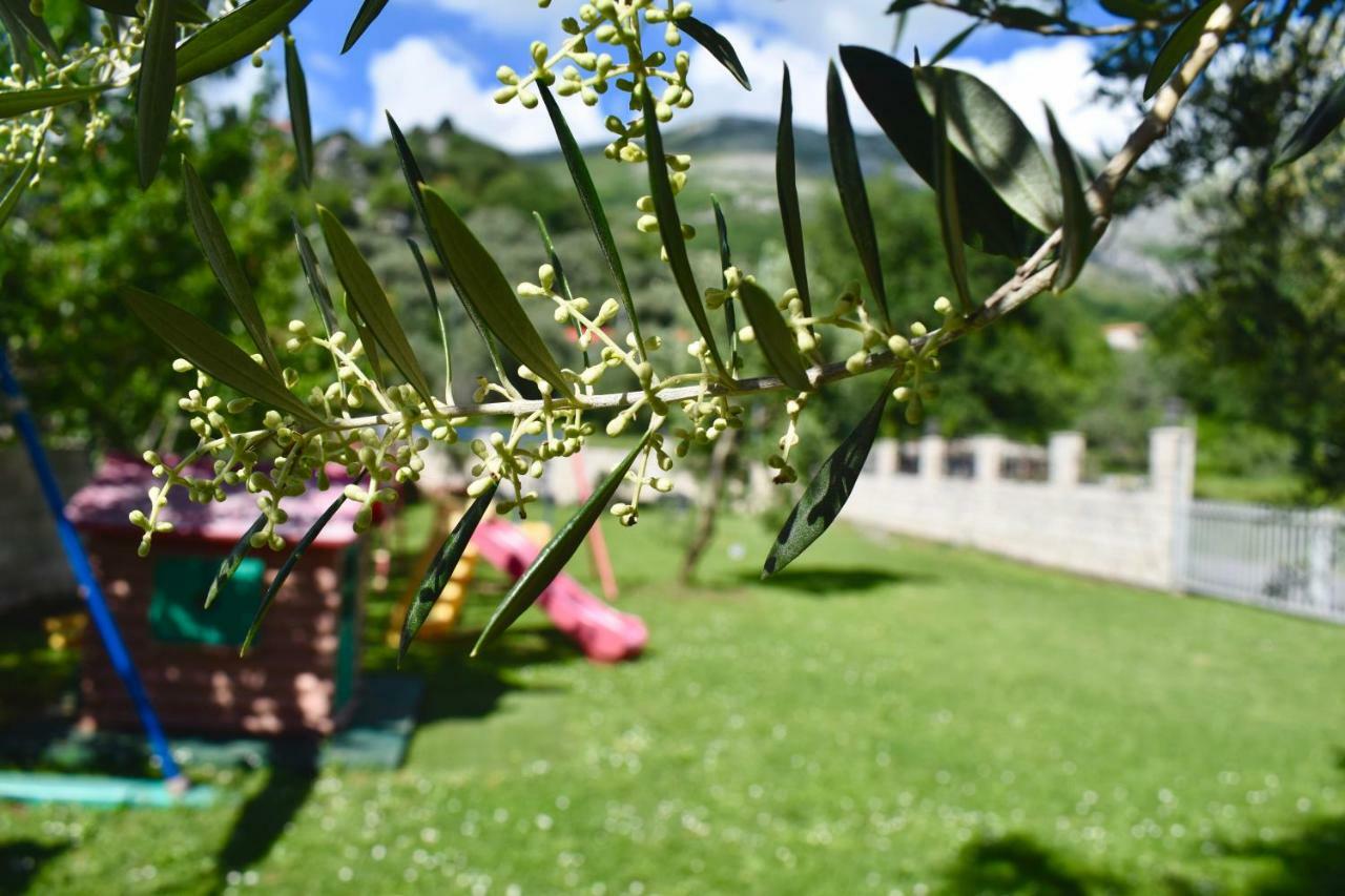 Villa Dolphin Apartments Petrovac Luaran gambar